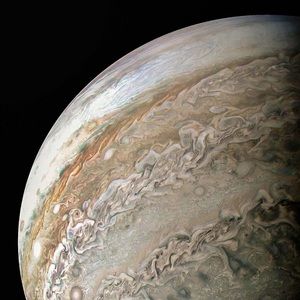 Meet your Posher, Pamela